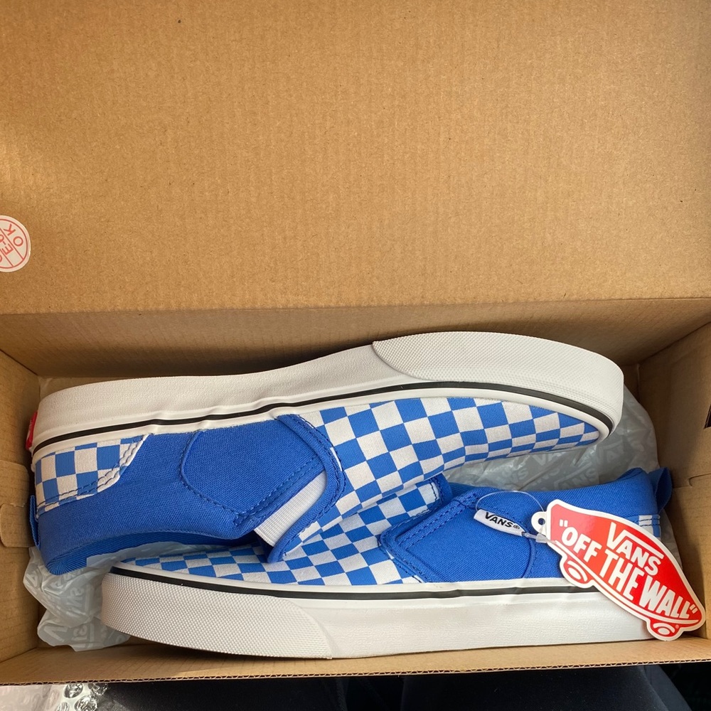 Vans Asher Slip On Kids Skate Shoes